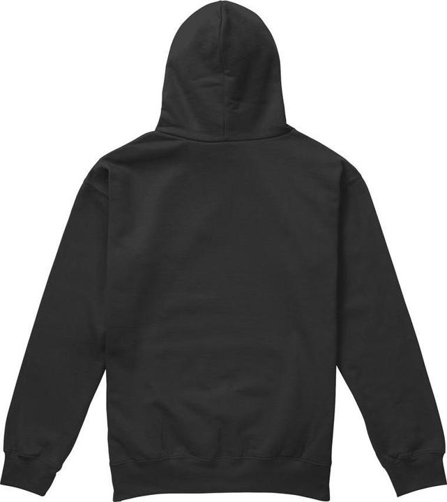 Produktbild AC/DC Back in the Day Kapuzenpullover (L)