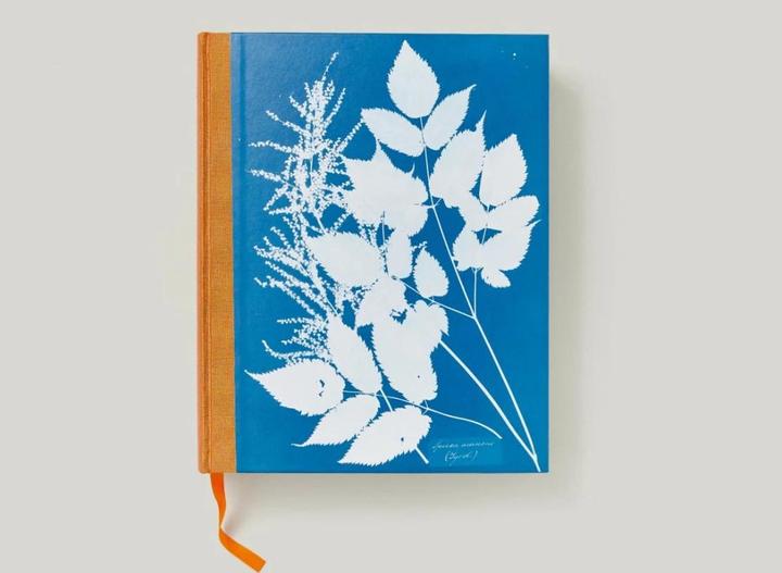 Produktbild Anna Atkins. Cyanotypes (Englisch, Französisch, Deutsch, Walther, Peter, 2023)