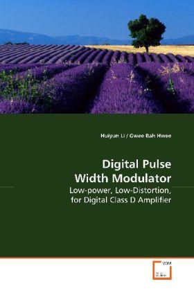 Actual product image Digital Pulse Width Modulator (Huiyun Li, 2009)