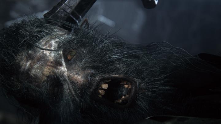 Actual product image Sony Bloodborne (PS4, EN, IT)