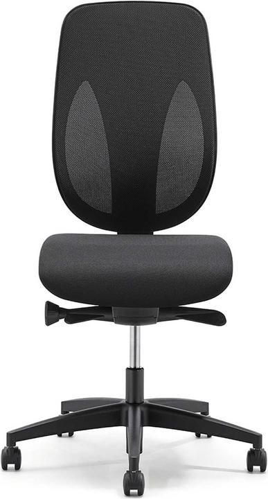 Image du produit Giroflex 353-4029