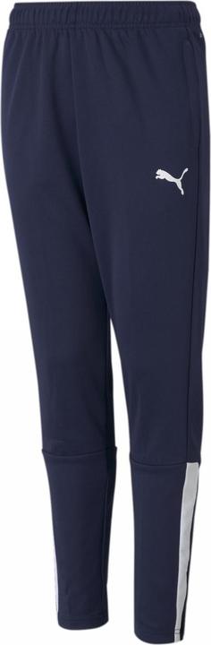 Actual product image Puma teamLIGA Training Pants Jr-657243 (164)