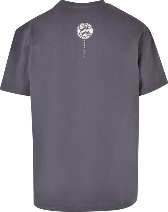 Actual product image FC Bayern München Logo Vertical Heavy Oversized Tee - 115359 (XXL)