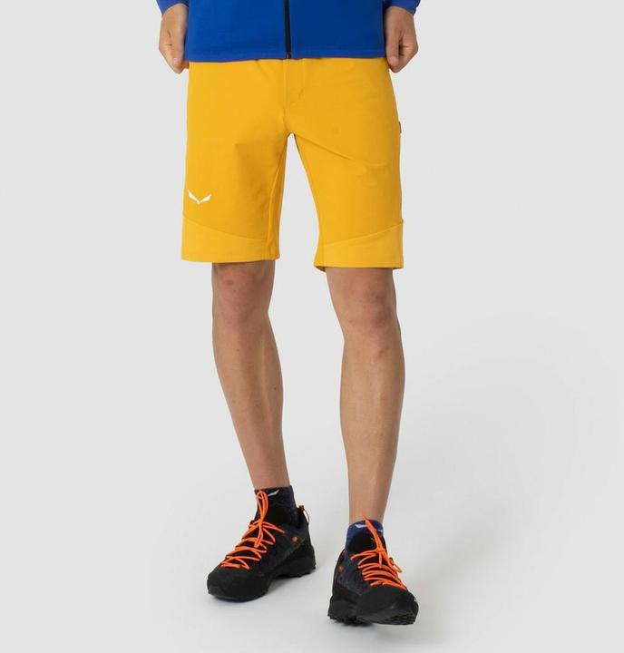 Actual product image Salewa Agner DST Shorts (54)