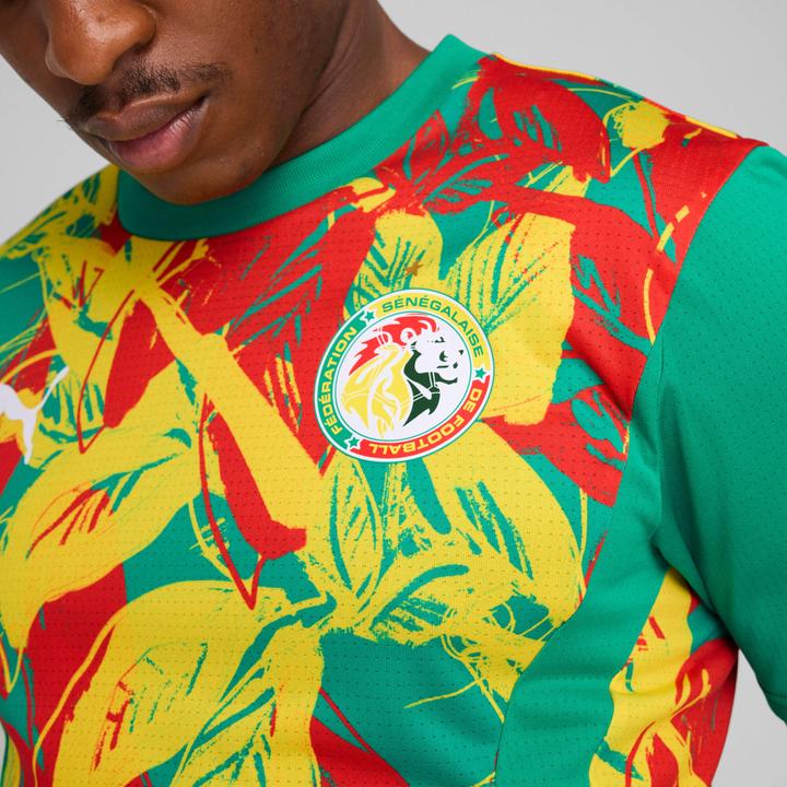 Produktbild Puma voranstosstrikot sénégal 2024 (M)