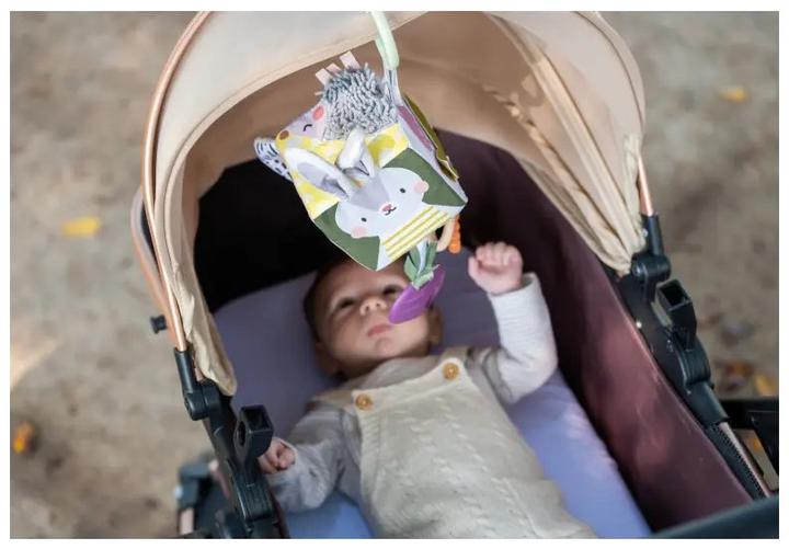 Image du produit Taf Toys Jardin urbain