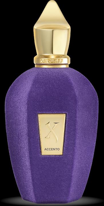 Image du produit XerJoff DUPLICAT Accento (Eau de parfum, 100 ml)
