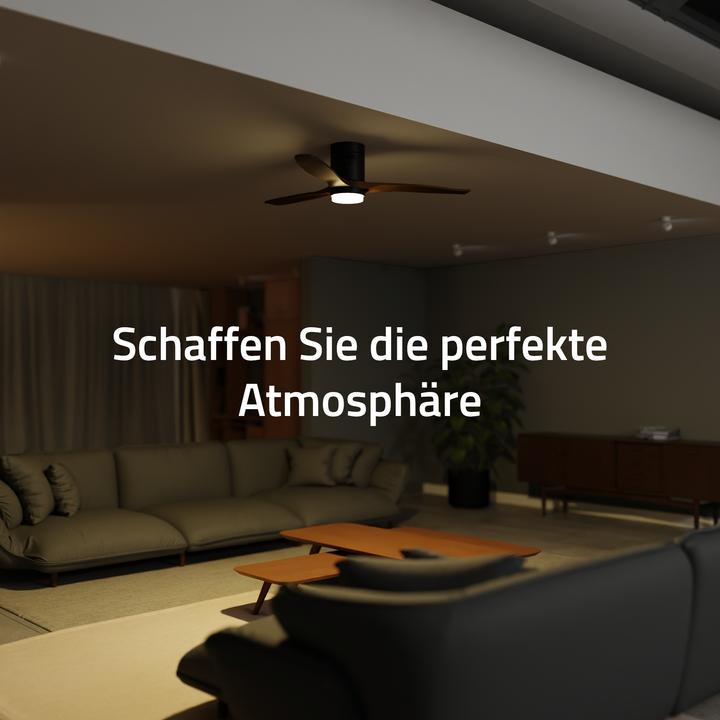 Actual product image Hombli Deckenventilator mit Licht (43 dB)