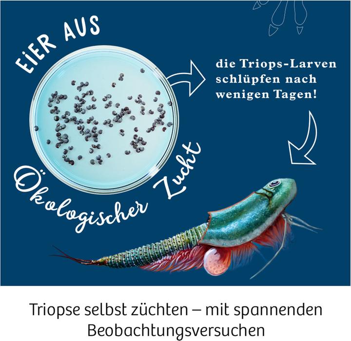 Productafbeelding Kosmos Wereld van de Triops