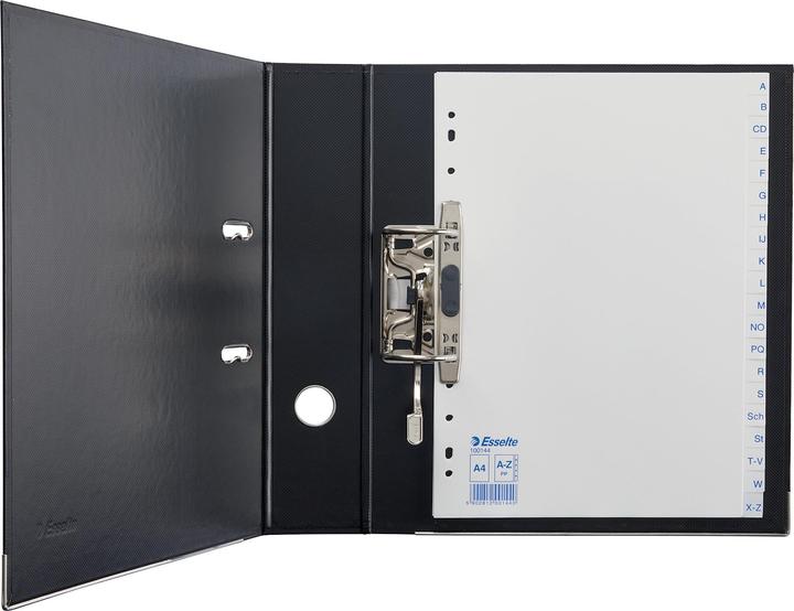 Actual product image Esselte Economy plastic register