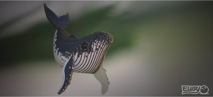 Image du produit Eugy Baleine à bosse