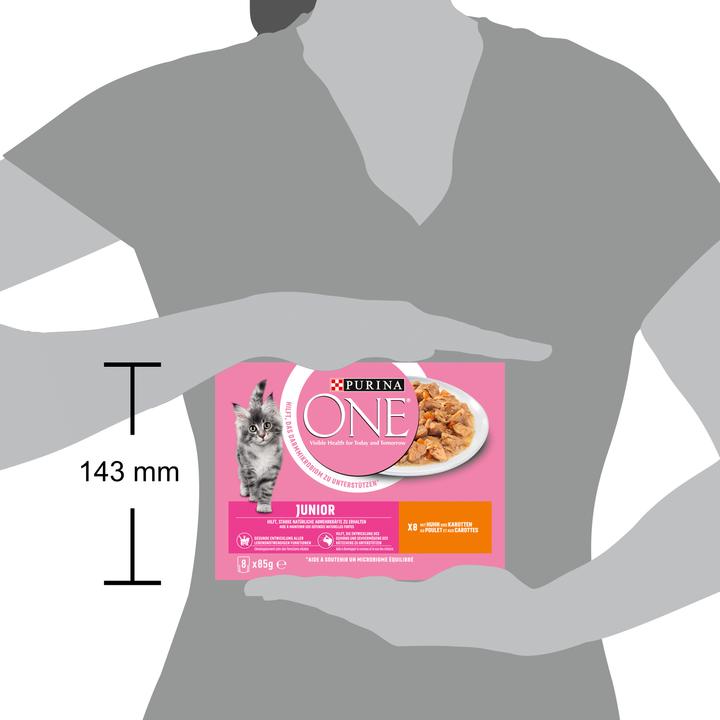 Actual product image Purina ONE Junior (Junior, 8 pcs., 700 g)