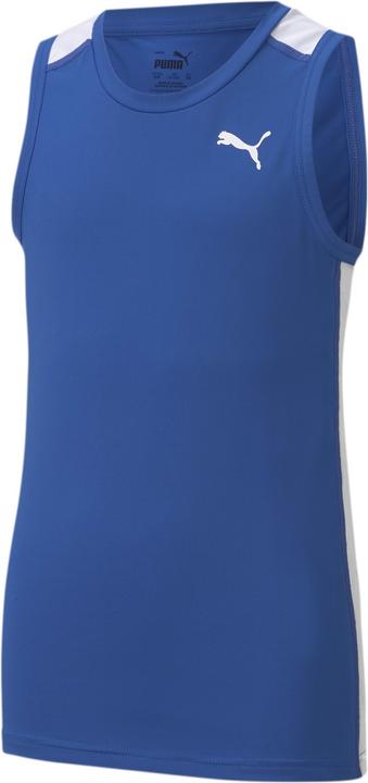 Team Power Blue, Puma White