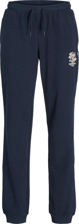 Actual product image Jack & Jones JPSTELOGO SWEATPANTS 2COL 25/26 NOOS JNR (152)