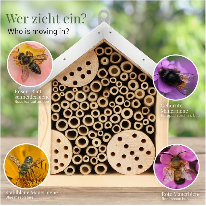 Actual product image Wildlife home Bee hotel (Wild bees, Bee)