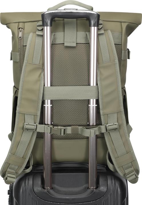 Actual product image Johnny Urban Harvey (21 l)
