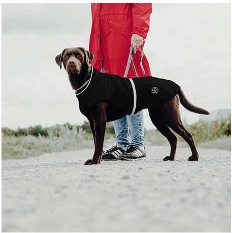 Actual product image Hunter Dog coat Uppsala Rain (65, Dog coat)