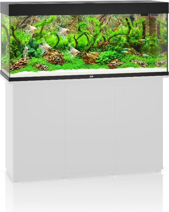 Actual product image Juwel Aquarium Rio (240 l)