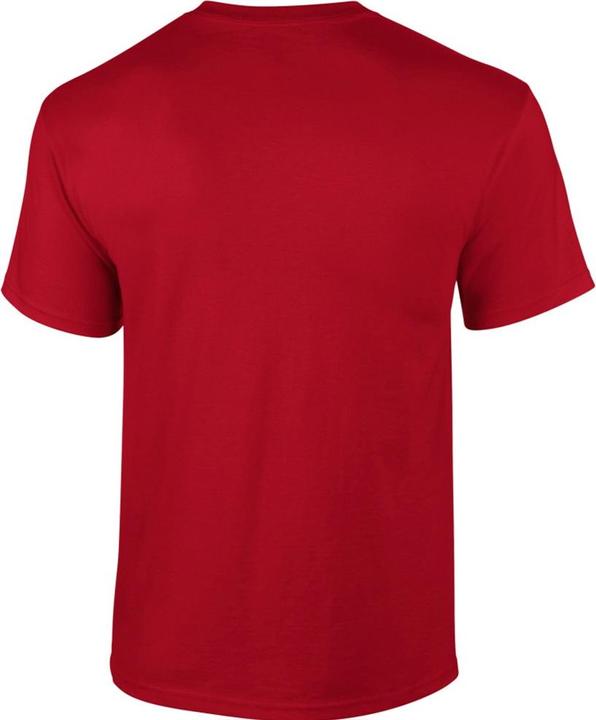 Immagine prodotto Gildan UTBC475 P (L)