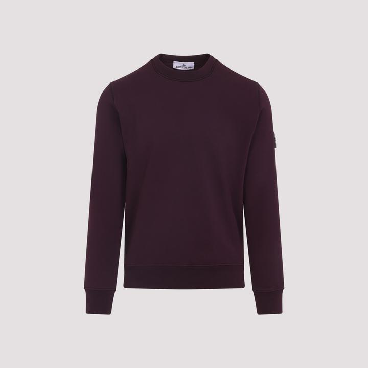 Actual product image Stone Island K2S156100060.S0051 (S)