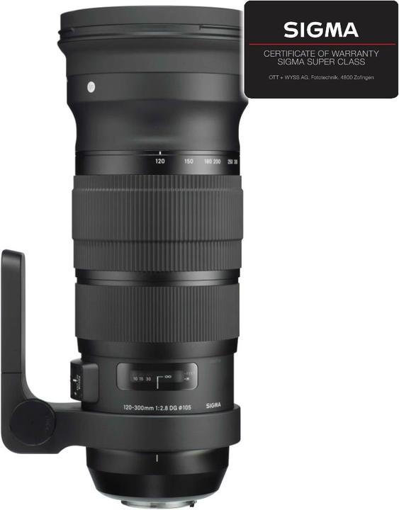 Sigma 120-300mm F2,8 DG OS HSM, Canon EF (Canon EF, Canon EF-S, full size)