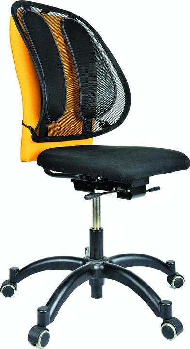 Actual product image Fellowes Back support