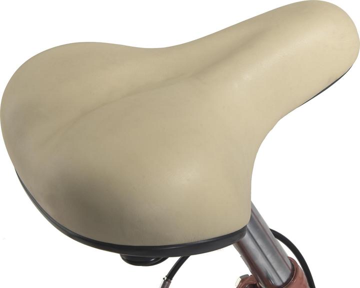Produktbild Hollandia Hollandrad Damen 28" Feelgood Singlespeed RH 53 cm (53 cm)