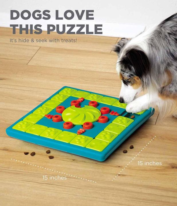 Actual product image Nina Ottosson Multipuzzle (Intelligence toy dog)