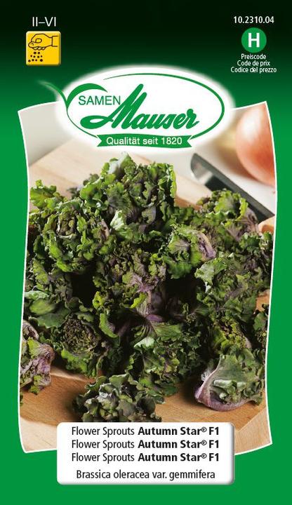 Produktbild Samen Mauser Flower Sprouts Autumn Star (Gemüsesamen)