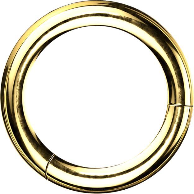 Produktbild Star Piercing Segmentring klappbar vergoldet (ohne Messing, Titan G23)