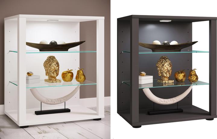 VCM Holz Glas Vitrine Sammelvitrine Glasvitrine Schaukasten Standvitrine Glasol S (52 x 35 x 60 cm)