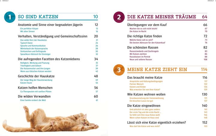 Produktbild Katzen (Deutsch, Gerd Ludwig, 2013)