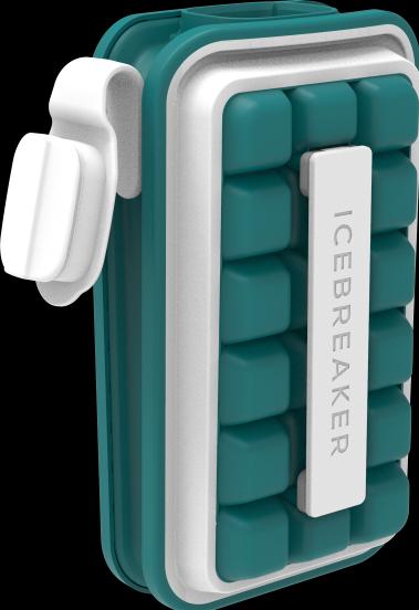 Actual product image Icebreaker Nordic: Pop