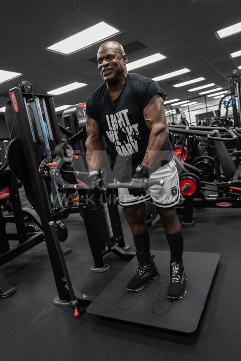 Actual product image Schiek Ronnie Coleman (XXL)