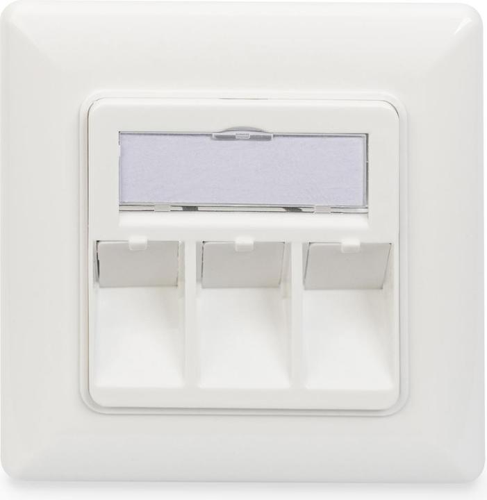 Image du produit Digitus Face avant pour Keystone Jacks 3x RJ45 cache-poussière 80/80 + plaque centrale blanc pur masse