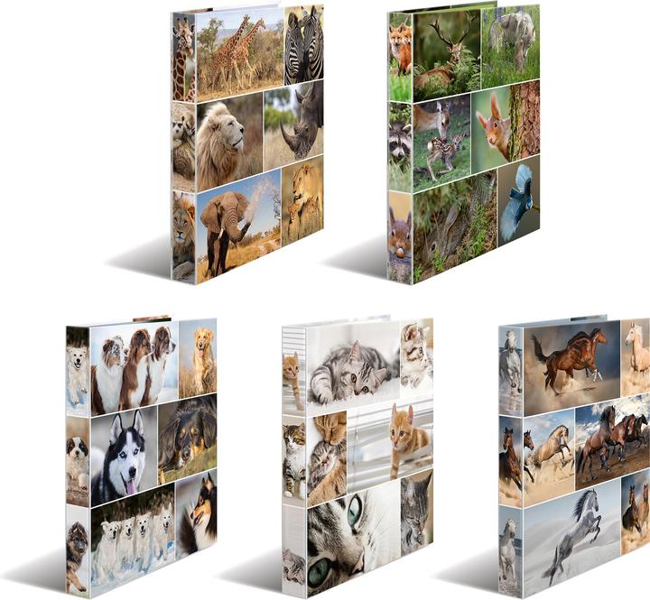 Actual product image HERMA A4 ring binder motif (A4, 35 mm, 1 Piece)