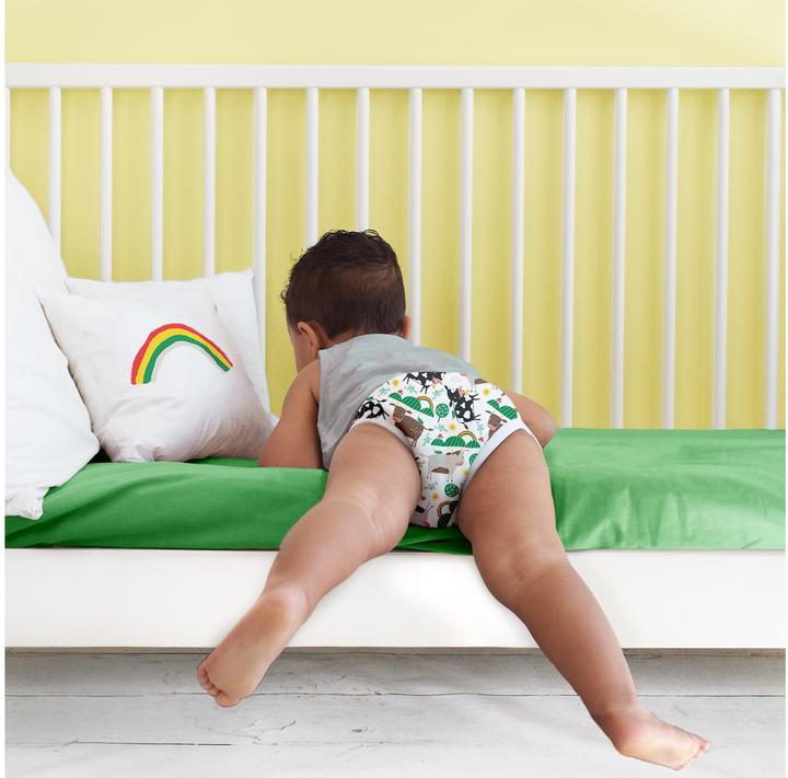 Actual product image Bambino Mio Potty training pants (Size 6, 1 Piece)