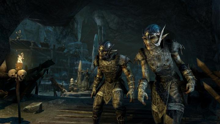 Immagine prodotto Plaion The Elder Scrolls Online - Tamriel Unlimited (c1) (Xbox One X, Xbox Series X, IT)