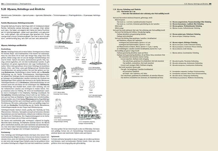 Actual product image Pilze Mitteleuropas (German, Gaby Keller, Rudolf Winkler, Margrith Montalta-Graf, 2024)