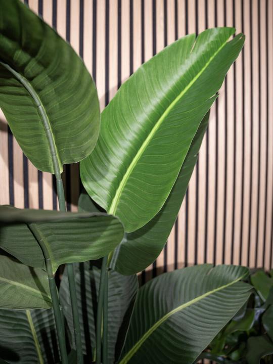 Produktbild Europalms Strelitzie, Kunstpflanze, 110cm