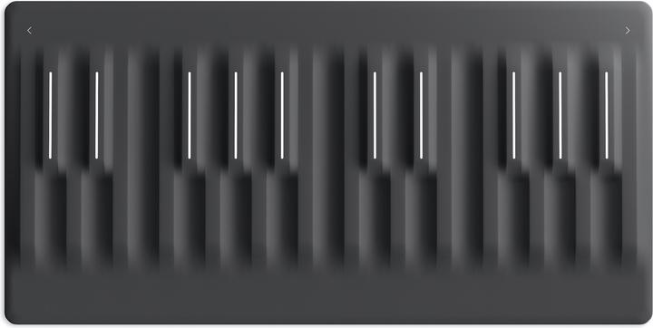 Image du produit Roli Seaboard Block Studio Edition (Clavier)