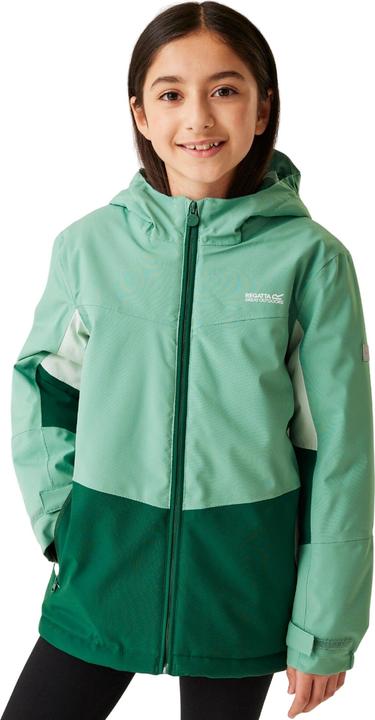 Actual product image Regatta Childrens/Kids Highton V Padded Jacket (158)