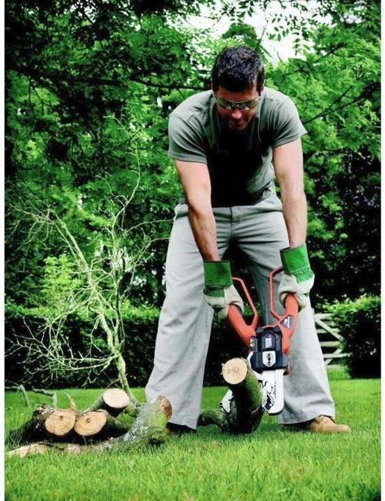 Image du produit Black & Decker Alligator (Scie à chaîne électrique)