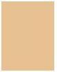 Actual product image Bourjois 123 Perfect (52 Vanilla)