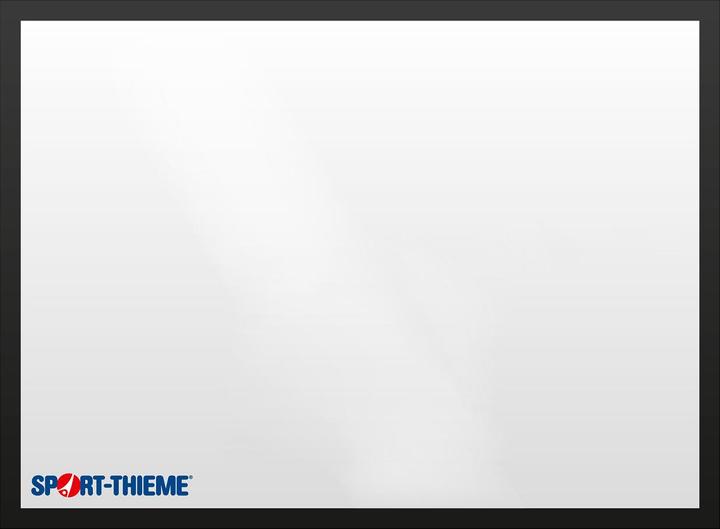 Sport-Thieme Basketballboard aus MDF