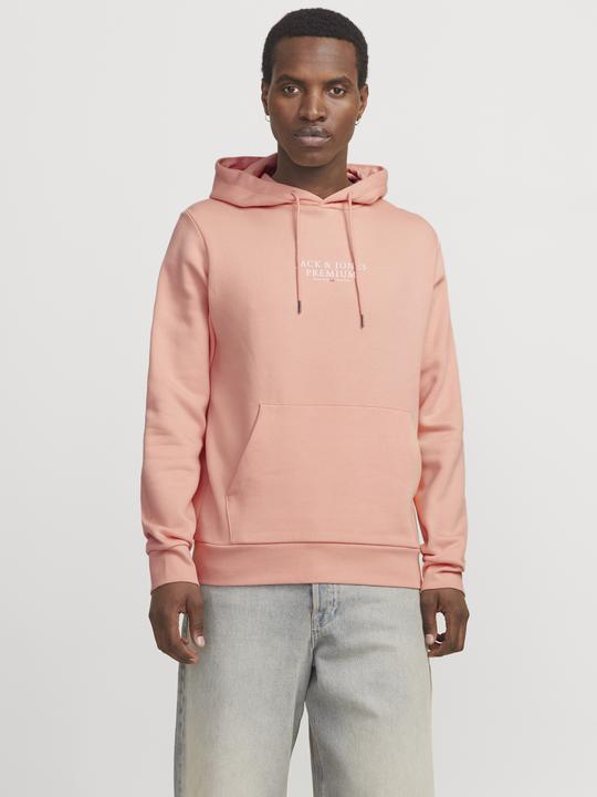 Produktbild Jack & Jones Logo Kapuzenpullover Kapuzenpullover (XS)