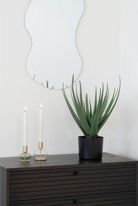 Produktbild House Nordic Aloe (51 cm)