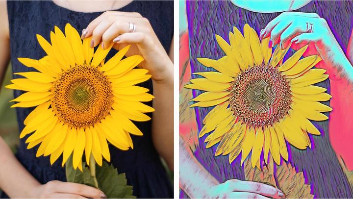 Actual product image Adobe Photoshop & Premiere Elements 2022 (1 User, unlimited)