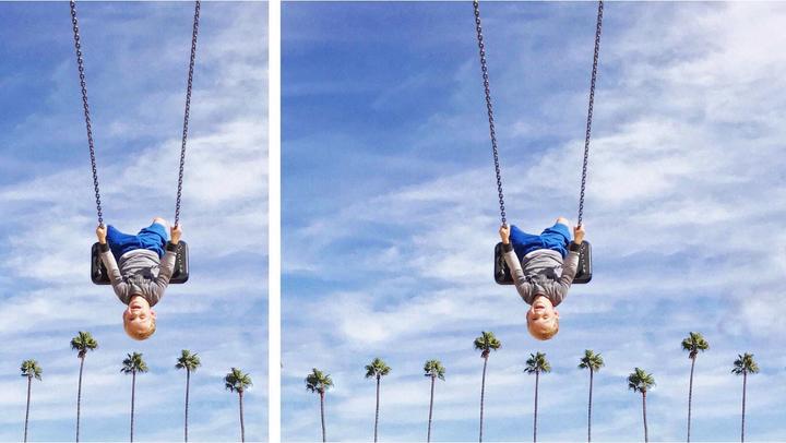 Actual product image Adobe Photoshop & Premiere Elements 2022 (1 User, unlimited)