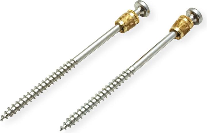 Actual product image Bachmann Brass pan head screws (1 Screws per piece)